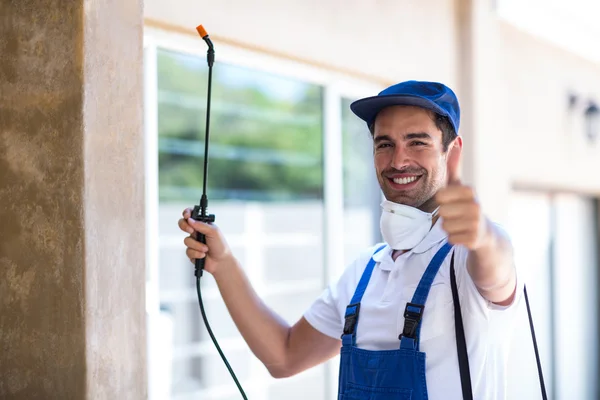 Imperial Beach Wasp Removal