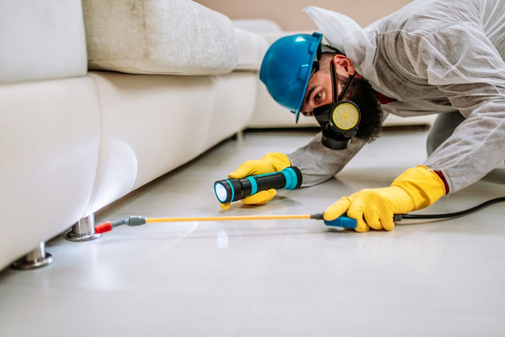 Imperial Beach Termite Control