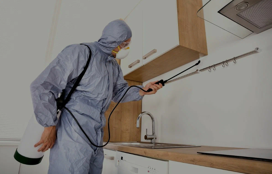 Imperial Beach pest managment